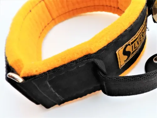 comprar Collar Intervención Silverado Raza Grande Extra Grande T 26