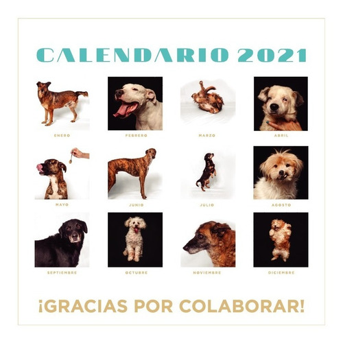 ¡promo! Calendario 2021 De Fundación Viva La Vida X 2