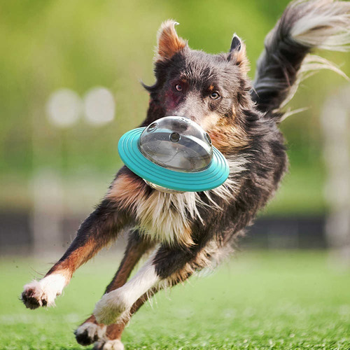 Imagen 5 de 5 de Juguete Dispensador De Comida Para Mascota