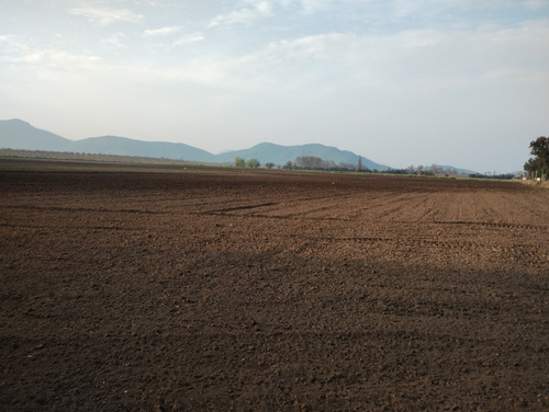 Imagen 3 de 5 de Gran Oportunidad. Se Vende Terreno Agrícola De 8,3 Hectareas