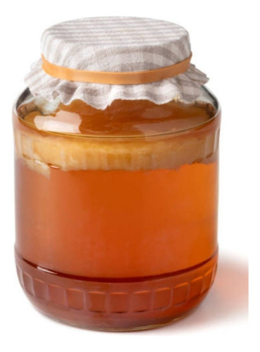 Scoby Y Té De Arranque Para Preparar Kombucha 