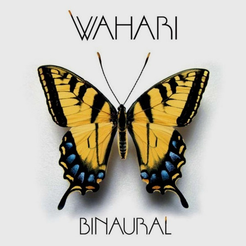 Augusto Weber / Grupo Wahari (kit C/ 2 Cds)