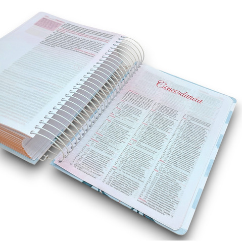 Bonita Biblia Crear Para Ilustrar Rvr60 Journaling Argollada