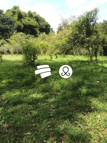 Espectacular Lote Ideal Para Finca O Casa Vereda Cabeceras Llanogrande