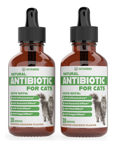 Suplementos Para Gatos, Antibióticos Para Gatos