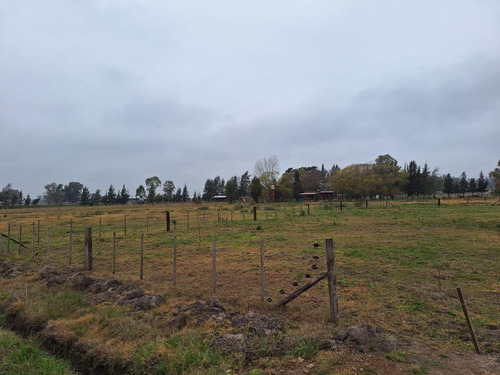 Terreno En Venta - 600mts2 - Parque Las Acacias