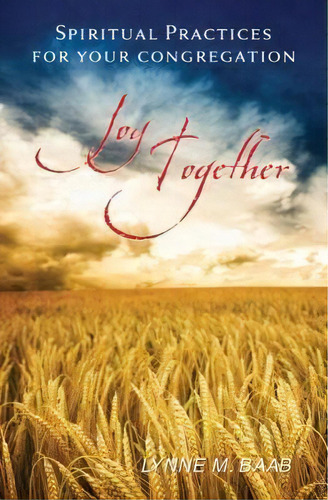 Joy Together, De Lynne M. Baab. Editorial Westminster John Knox Press U S, Tapa Blanda En Inglés