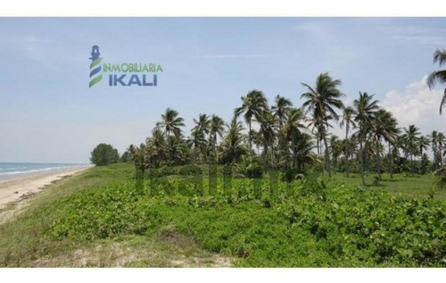 Imagen 6 de 10 de Terreno En Venta Majahual