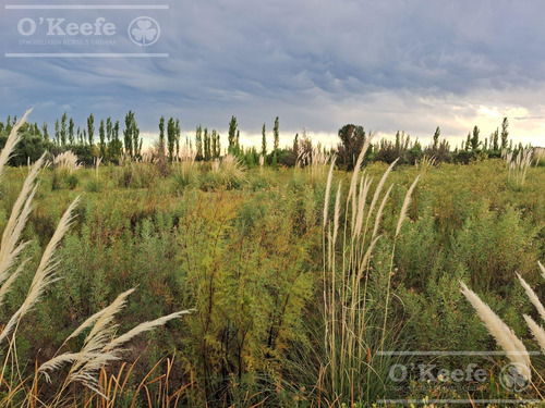 Oportunidad Venta De 2 Fincas Aledañas En Cañada Seca , San Rafael , Mendoza. Frutihorticola, Forrajes, Turismo,
