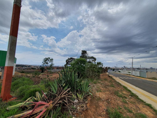 Imagem 3 de 5 de Terrenos - Ref: V1117