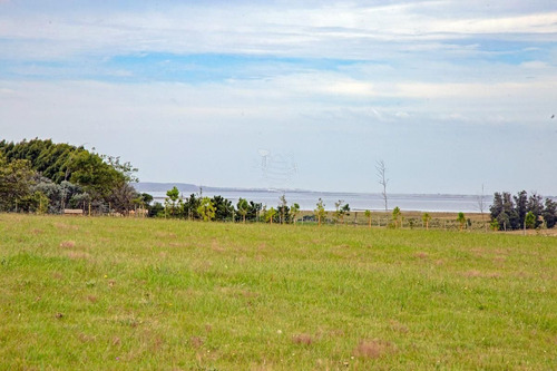 Imagen 27 de 30 de Campo En Jose Ignacio Muy Cerca De La Laguna - Jose Ignacio