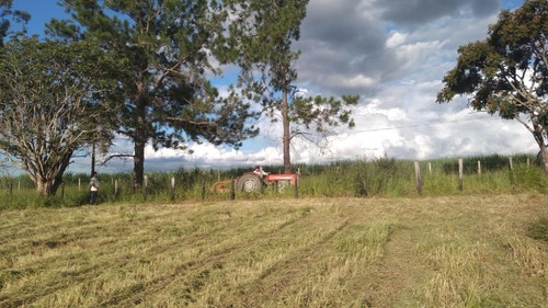 Terrenos Ou Lotes Residenciais Para Venda No Bairro Área Rural Em Iperó - Cod: Ai22305 - Ai22305