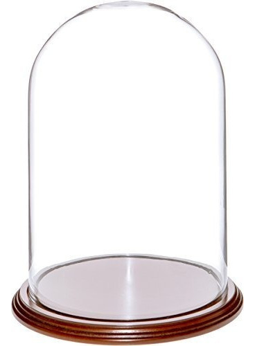 Plymor 8  X 12  Pantalla De Cristal Domo Cloche (base De Cha