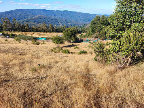 Parcela En Venta Rampehue Comuna De Loncoche