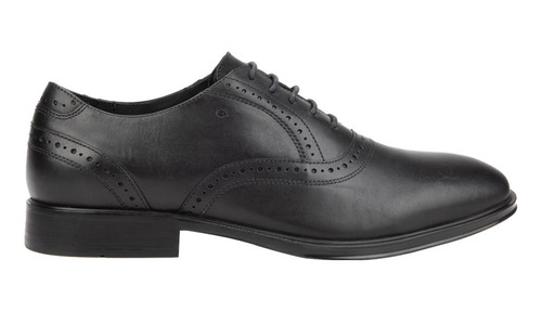 Zapato Vestir Oxford Quirelli 1508 Topr