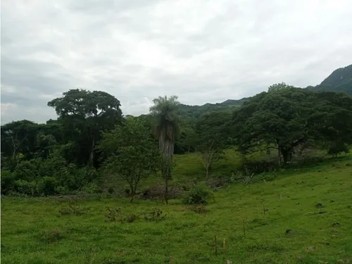 Vendo Lotes En La Pintada Con Vista A Farallones Desde 2.703 M²