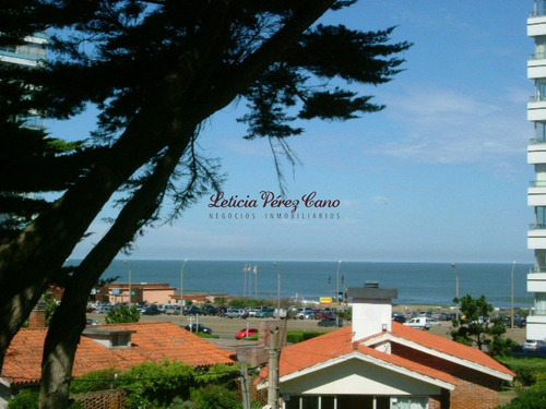 Imagen 5 de 30 de Alquiler Apartamento Playa Brava , 2 Dormitorios