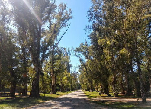 Imagen 8 de 12 de Chacra - El Argentino Farm Club
