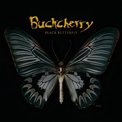 Cd Black Butterfly - Buckcherry