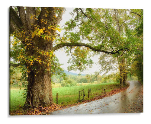 Canvas Lab Cuadro Camino Mojado 80x60, Danny Head