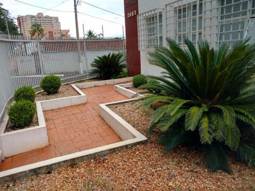 Kitnet Com 1 Dormitório Para Alugar, 40 M² Por R$ 800,00/mês - Vila Monte Alegre - Ribeirão Preto/sp - Kn0037