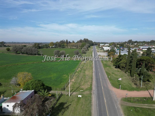 En Venta Chacras De 1 Ha Colonia Del Sacramento