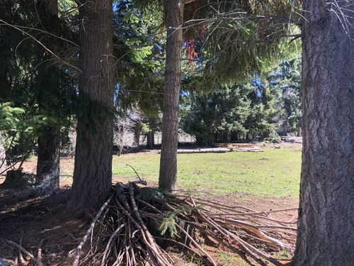Imagen 5 de 8 de Venta Excelente 1,7 Hectarea - Quila Quina - San Martin De Los Andes