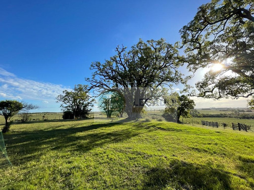 Campo En Venta De 53 Has. Con Vivienda Y Arroyo, Prox Minas