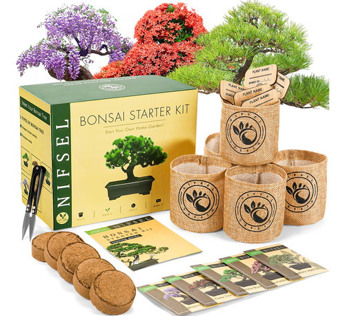 Kit De Arbol De Bonsai - Kit De Cultivo De Bonsai Nifsel - K