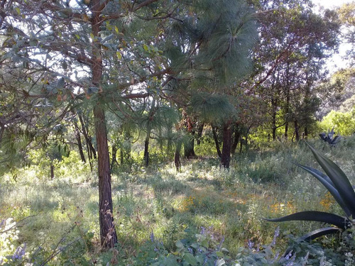 Terreno Campestre En Huitzilac, Huitzilac, Morelos - Crb-492-tca
