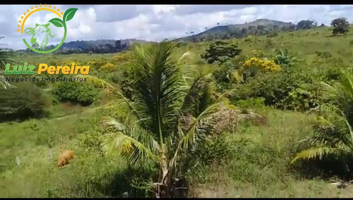 Imagem 1 de 5 de Fazenda À Venda Em Pacajá - Pa - 2.207,07 Hectares (dupla Aptidão) - 1984