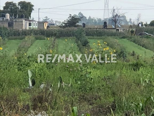 Imagen 4 de 9 de Rancho En Venta