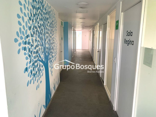 Oficinas En Renta En Constituyentes - San Miguel Chapultepec