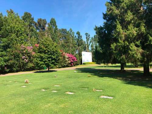 Imagen 6 de 8 de Cementerio Parque Memorial - Parcela Lista Para Transferir