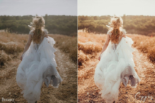 Colormade Wedding Pacote Completo + De 750 Presets | Lr-acr
