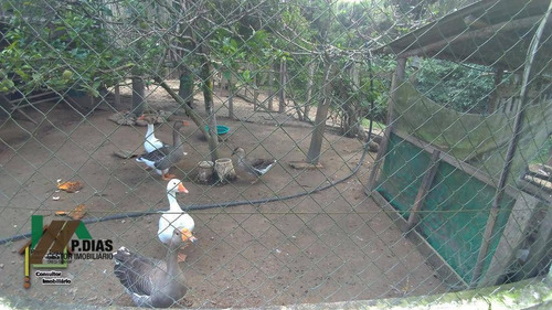 Imagem 11 de 21 de Linda Chácara Em Pinhalzinho, Região Do Circuito Das Águas - Ch0113