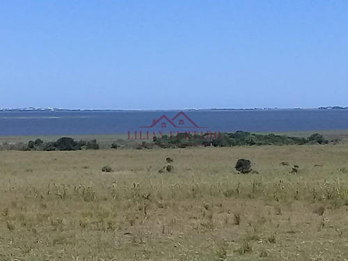 26 Has En Zona Laguna Jose Ignacio - Ref: 654