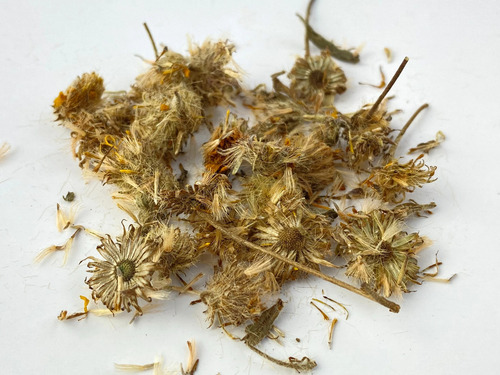 Árnica Flor Deshidratada 1 Kilo No