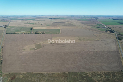 Imagen 21 de 27 de Terreno Campo En Venta En Carmen De Areco, Resto De La Provincia, Buenos Aires