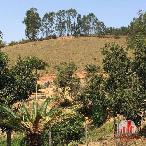 Imagem 15 de 15 de Ótimo Sitio Em Lagoinha ! - Si0080