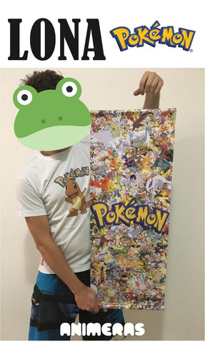 Lona De Pokemon Varios Para Colgar - Animeras