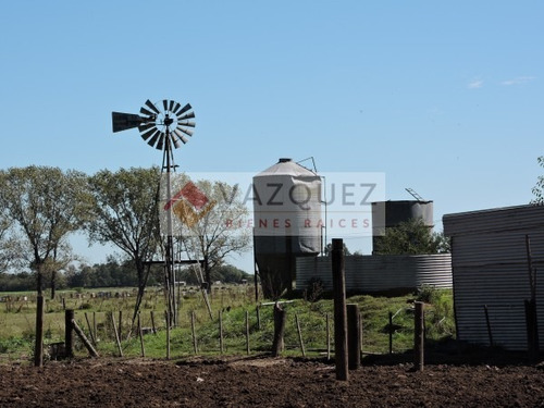Imagen 6 de 20 de Apto Ganaderia Y Tambo Con Renta