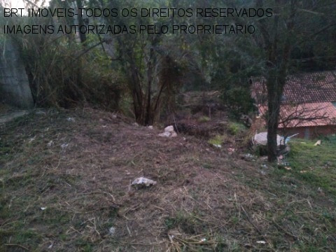 Imagem 1 de 6 de Terreno - Te00137 - 68088456
