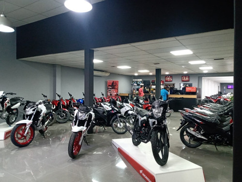 Imagen 13 de 15 de Benelli 752 S - División Ruedas / Consultar Ofertas