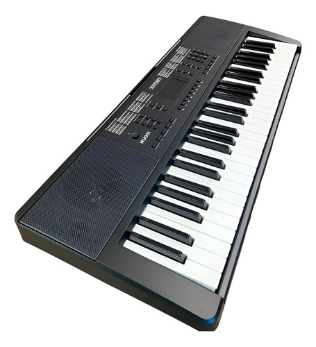 Teclado 54 Teclas Negro 5 Octavas Principiantes