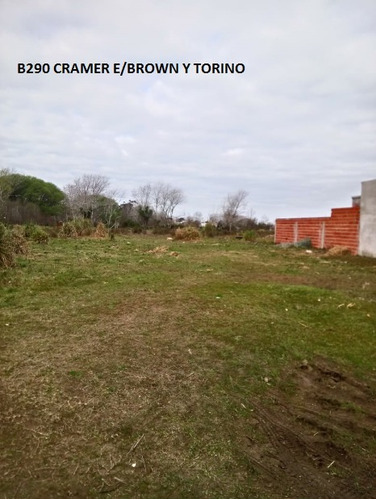 Imagen 1 de 3 de B290 Lote Cramer E/brown Y Torino - Mar De Ajo