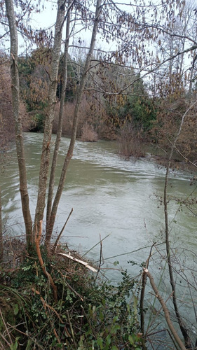 Parcela Con Estero En Río Negro, Región De Los Lagos