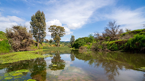 Imagen 5 de 15 de Hacienda Los Coipos