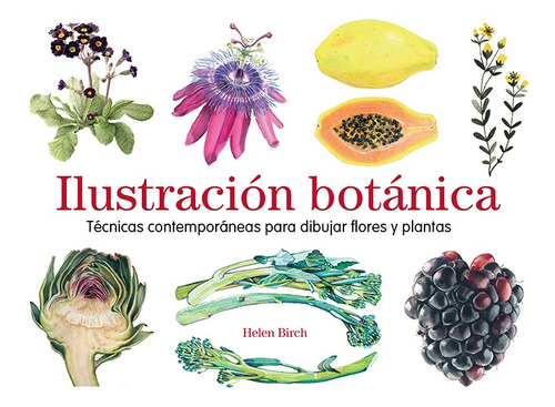 Ilustracion Botanica