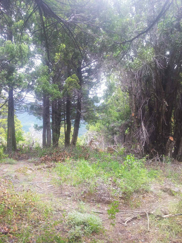 Imagen 2 de 11 de Venta Terreno En Meliquina Lote 5 Mza 16 988,83 M2
